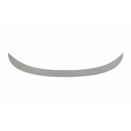 Aileron BMW F13 ABS, Bmw